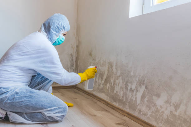 Mold Remediation specialist working in Broadway