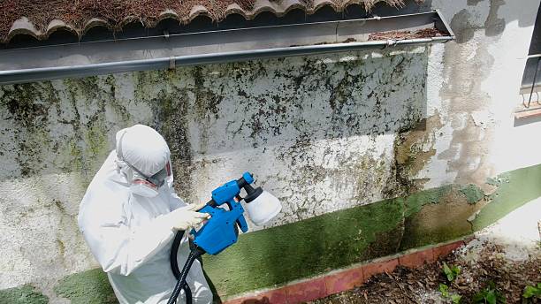 Mold Removal service in Broadway